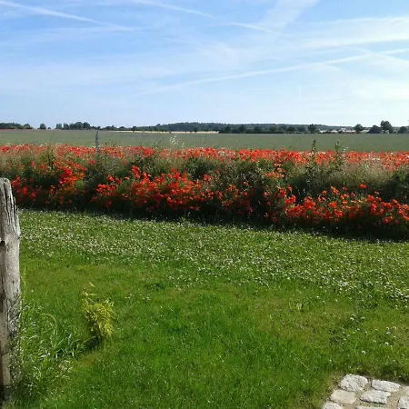 Haus Kranichfeld T * Lancken