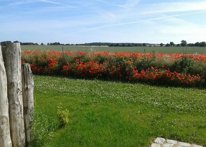 Haus Kranichfeld T * Lancken